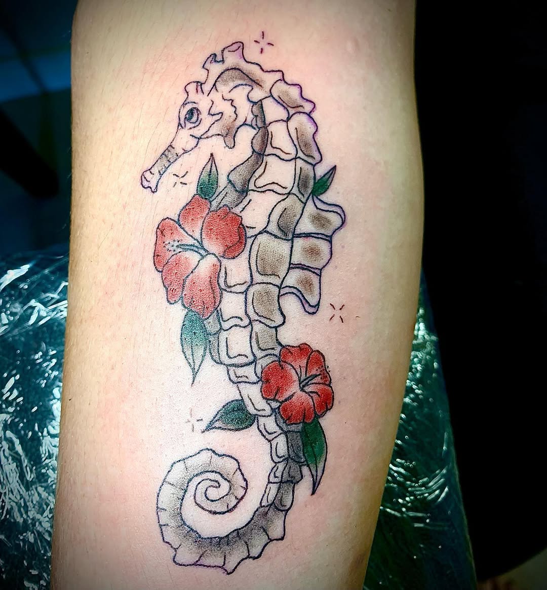 Beautiful Seahorse